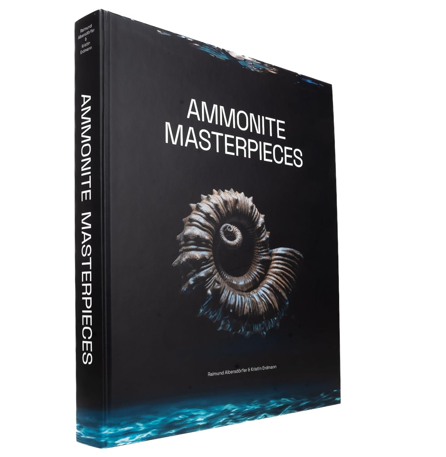 Ammonite Masterpieces