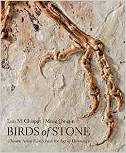 Birds of Stone: Chinese Avian Fossils from the Age of Dinosaurs