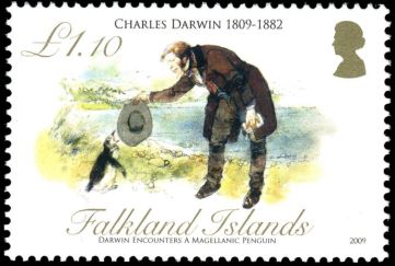 Charles Darwin explore local fauna on Falkland Islands