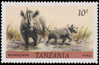 African Rhinoceros on stamp of Tanzania 1980