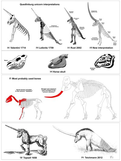 Quedlinburger Unicorn comparison of reconstructions, iedrich, C. G. (2021) Quedlinburger Unicorn comparison of reconstructions, iedrich, C. G. (2021)