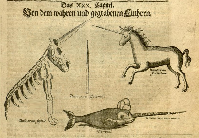 Unicorns represented by Michael Bernard Valentini, published in 1704 Unicorns represented by Michael Bernard Valentini, published in 1704