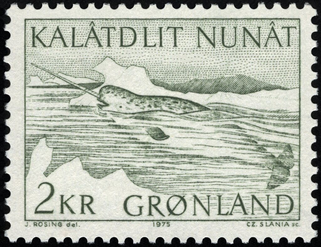 Narwhal on stamp of Greenland 1975