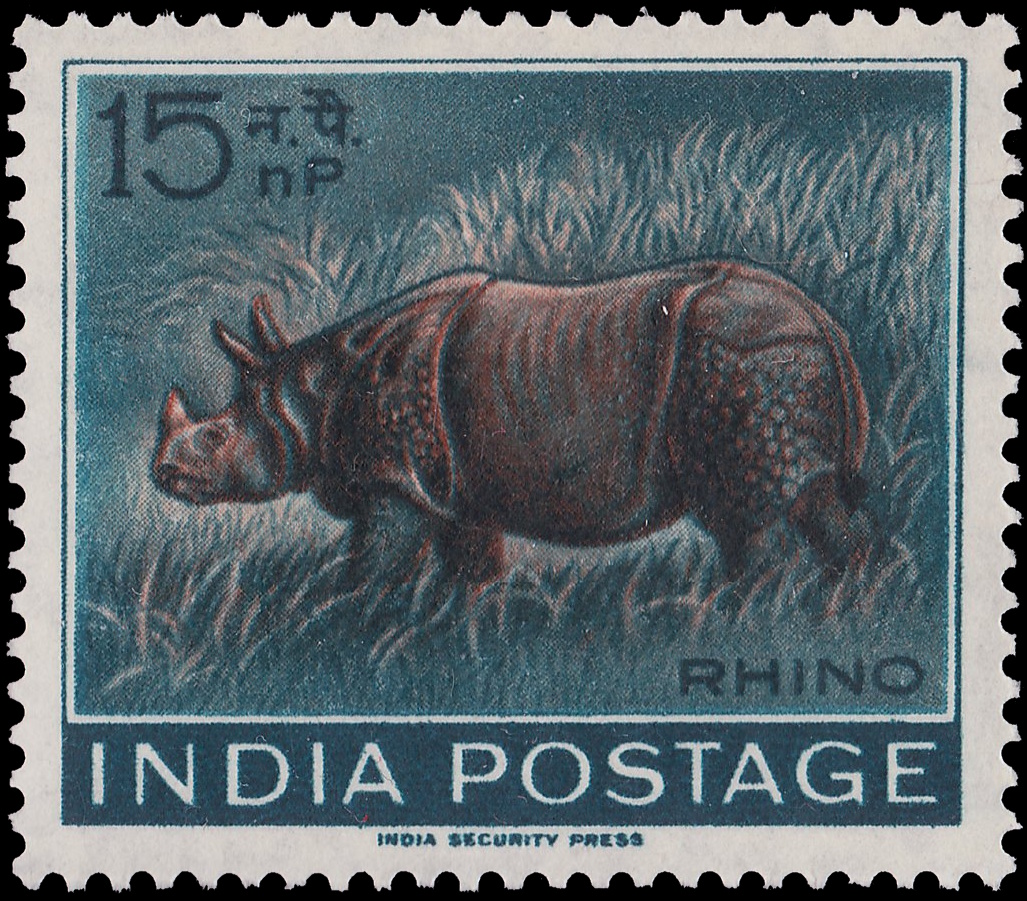 Indian Rhinoceros on stamp of India 1962