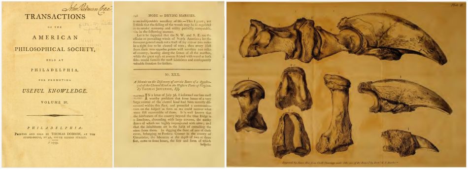 The work of Thomas Jefferson about the Megalonyx, published in Transaction of the American Philosophical Society in 1799, including the plate of the claw.