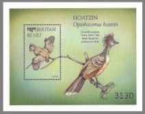 modern bird on stamp of Bhutan 1999
