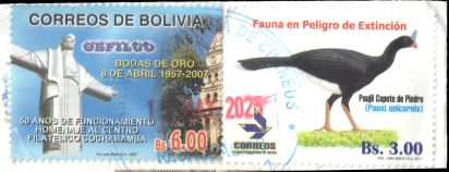 Original stamps of Bolivia from 2007 and 2017, on an envelope posted in 2025