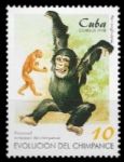 Proconsul primate on the background of Chimpanzee evolution stamp of Cuba 1998