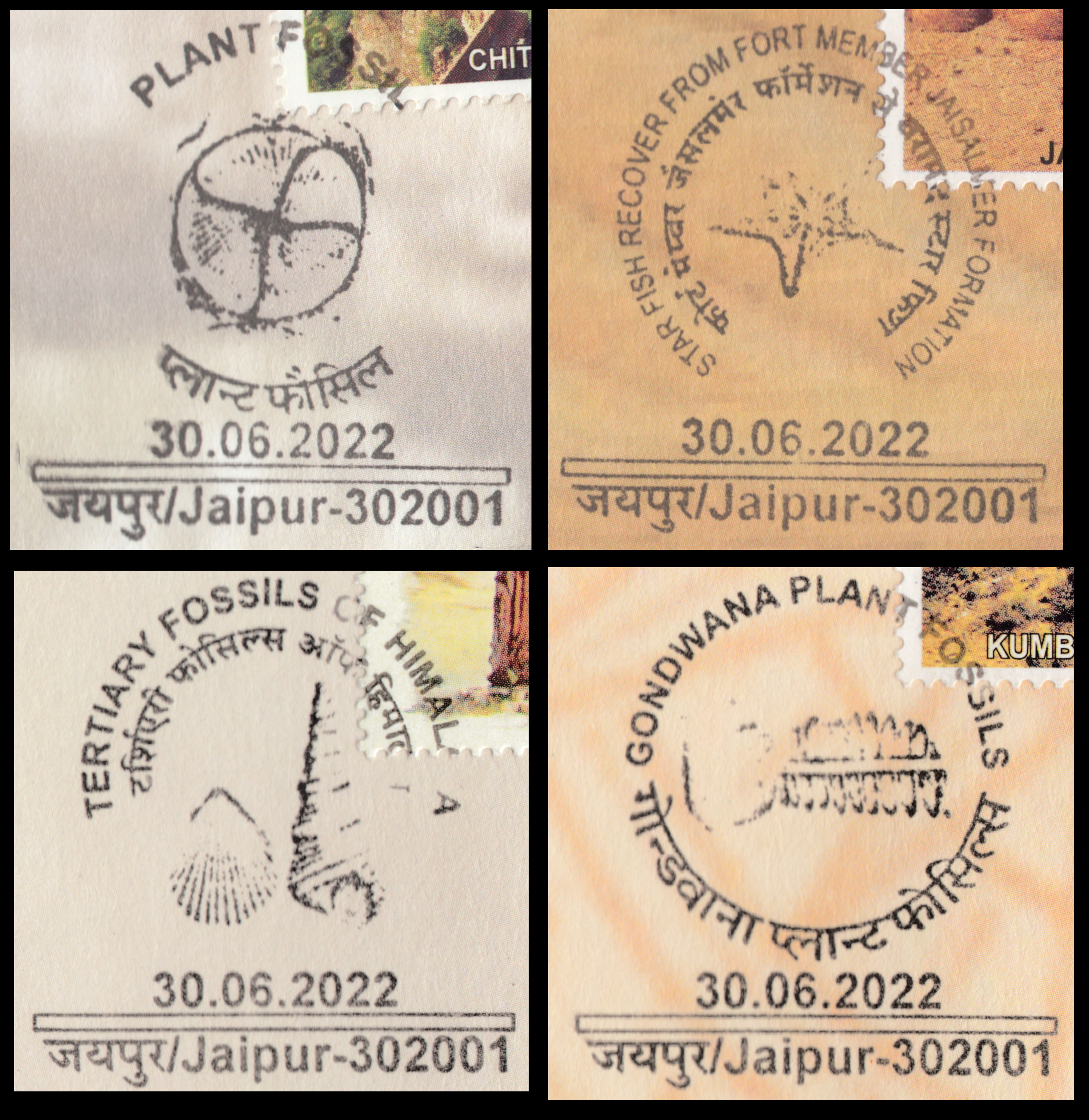 Fossils on commemorative postmarks of India 2022