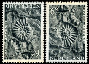 Ammonite fossil on semi-postal stamp of Netherlands 1962