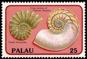 Ammonite on stampof Palau 1988