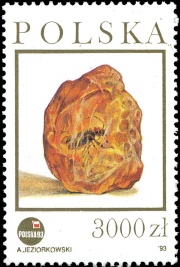 Insect in amber on stamp of Poland 1993
