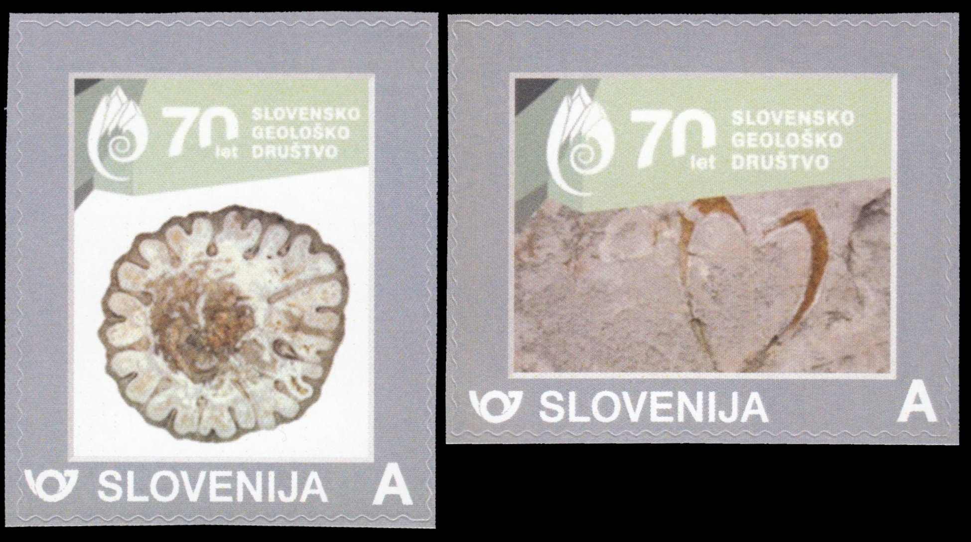 Fossil on 70 years of Slovenian Geological Society personalized stamps of Slovenia 2021