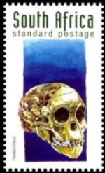 Taung Child skull on stamp of South Africa 1998