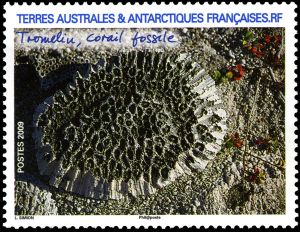fossilized coral on stamp of TAAF 2009