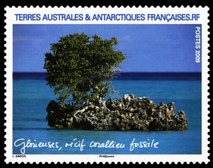 fossilized coral reef on stamp of TAAF 2009
