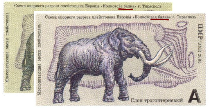 Stamp with Elephant/Mammuthus trogontherii from different sets of Transnistria  in 2005