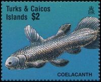 Coelacanth on stamp of Turks and Caicos islands 1995