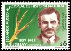 Paleontologist Lucas Kraglievich and antler of prehiostoric deer Antifer on stamp of Uruguay 1997