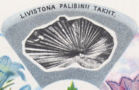 Fossil Livistonia palibinii on postal stationery of USSR 1975