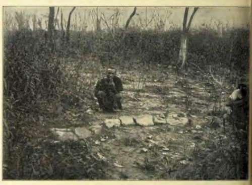 A photo from the excavation at Tendaguri