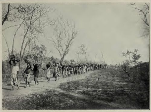 A photo from the excavation at Tendaguri