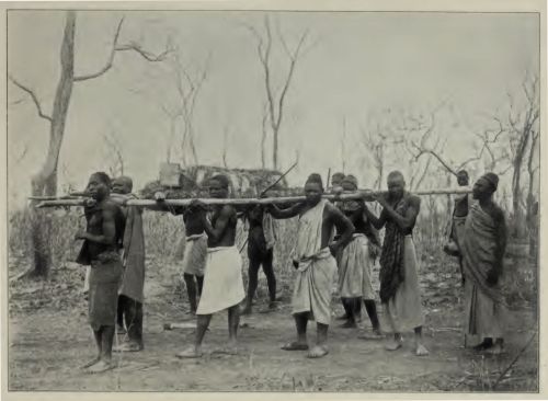 A photo from the excavation at Tendaguri
