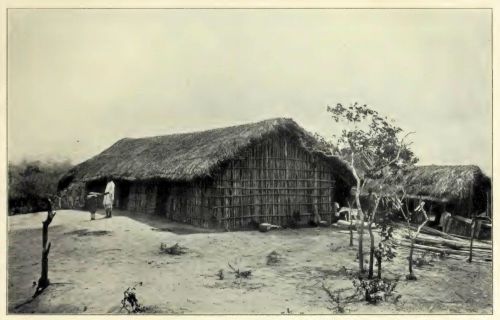 A photo from the excavation at Tendaguri