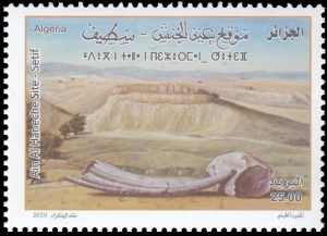 A petrified wood and a fossilized tusk of prehistoric elephant on stamp of Algeria 2020