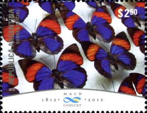 butterflies of The Bernardino Rivadavia Natural Sciences Museum on stamp of Argentina 2012