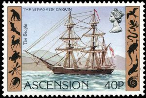HMS Beagle on stamp of Ascension Island 1982