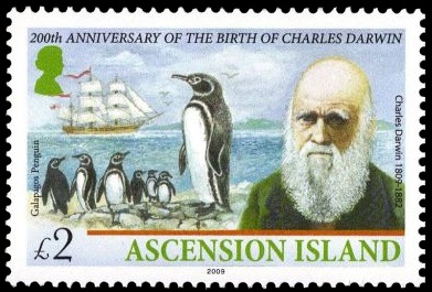 Charles Darwin and Galapagos Penguins (Spheniscus mendiculus) on stamp of Ascension Island 2009