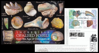 Opalised fossils from collection of Australian Opal Centre from Lightning Ridge