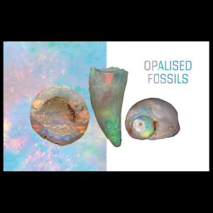 Presentation Pack with Opalised Fossils stamps of Australia 2020