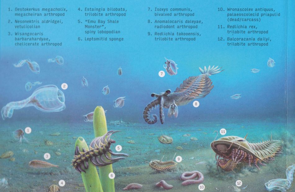 The list Creatures of the Palaeozoic depicted on stamps of Australia 2026