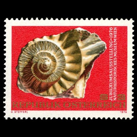 Ernstbrunnia fasciculata Ammonite on stamp of Austria 1976