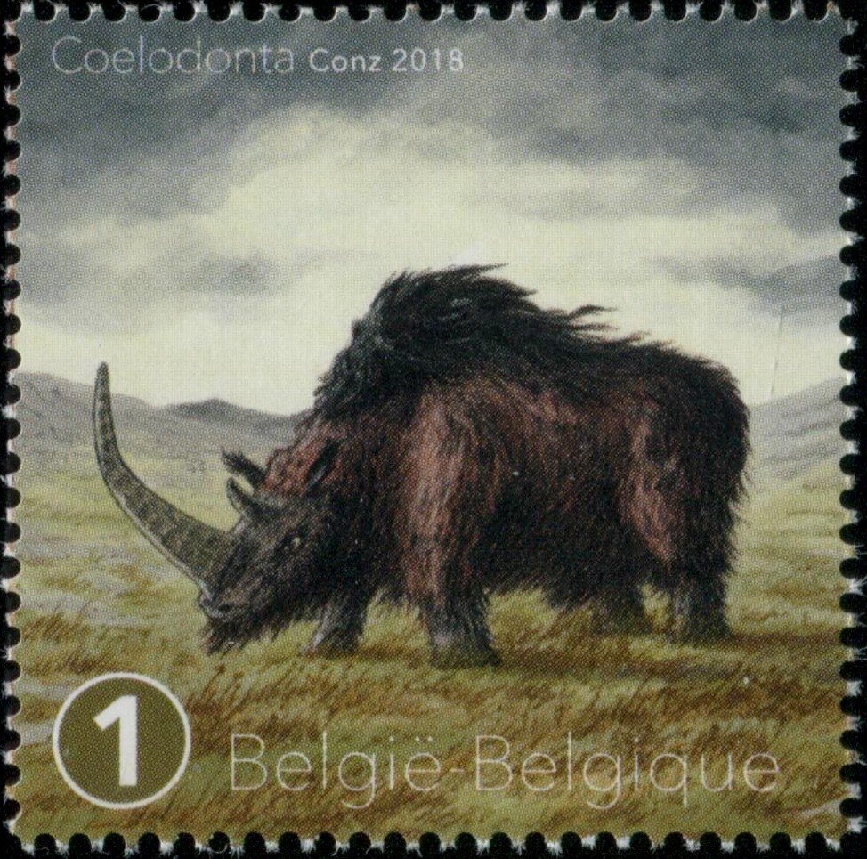Woolly Rhinoceros on stamp of Belgium 2018