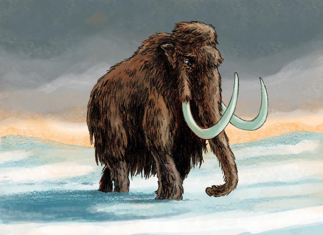 Sketch of woolly mammoth stamp of Belgium 2018