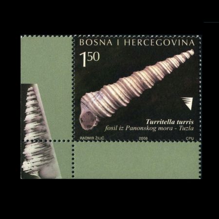 Shell of Turritella turis gastropod on stamp of Bosnia and Herzegovina 2008