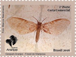 Moth Fossil on stamp of Brazil 2016