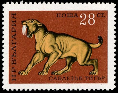 Machairodus on stamp of Bulgaria 1971
