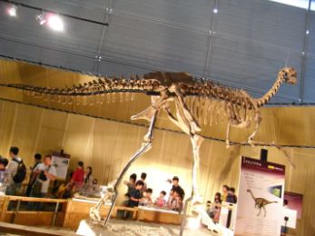 Fossil of Gigantoraptor