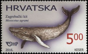 THE WHALE OF ZAGREB Mesocetus agrami on stamps of Croatia 2016