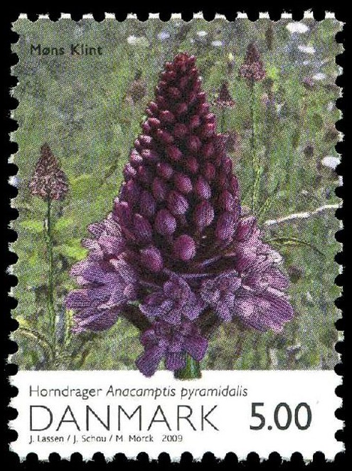 Pyramidal Orchids on stamp of Denmark 2009