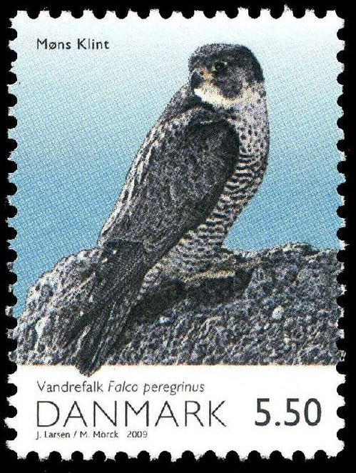 Peregrine Falcon on stamp of Denmark 2009