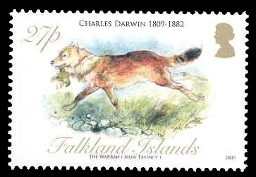Falklands fox, the Warrah, on stamp of Falklands islands 2009