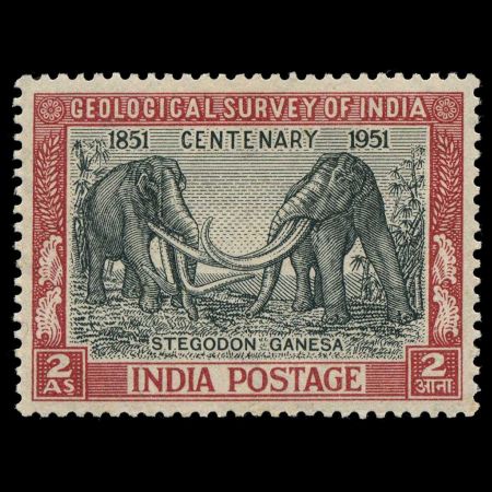 Stegodons on stamps of India 1951