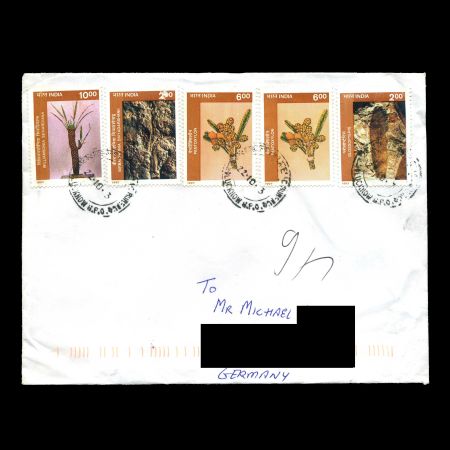 plant fossils from paleobotany institute of Lucknow on circulated cover from India 2013