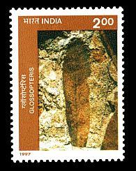 fossil of prehistoric plant Pentoxylon on stamp of India 1997