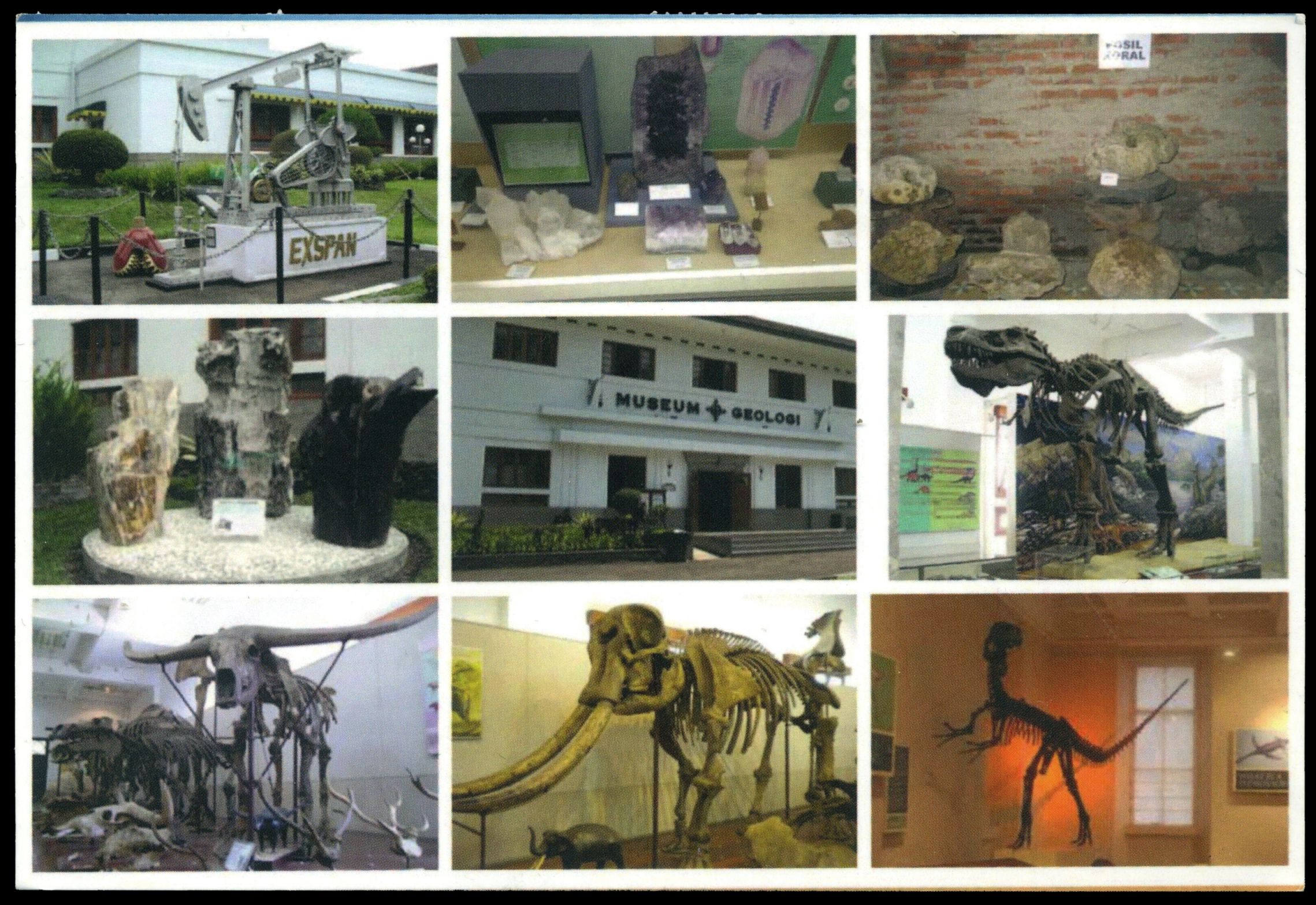 Postcard with images of Bandung Geology Museum, Indonesia